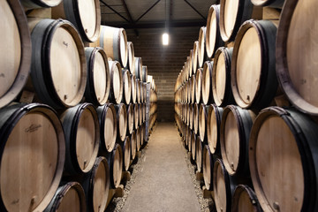 France Burgundy 2019-06-20 Wooden wine oak barrels stacked in winery cellar