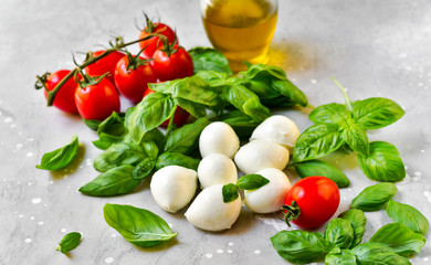 Italian caprese salad. Italy food Ingredients mozzarella buffalo, fresh basil, red tomatoes and olive oil. Italian cuisine, healthy lunch meal.  selective focus, copy space
