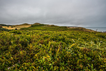 Prince Edward Island
