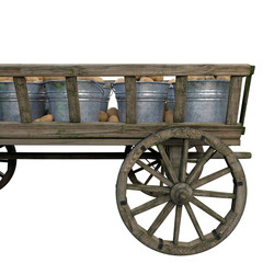 Harvest ripe potatoes in buckets of a wooden cart