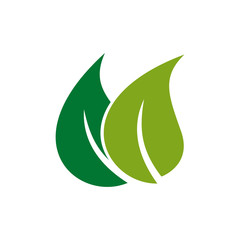 Green leaf natural and organic ornament symbol