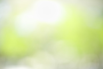 Abstract blurred out of focus and blurred green leaf nature background under sunlight with bokeh and copy space using as background natural plants landscape, ecology wallpaper concept.
