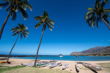 Outrigger canoes on a beach at the west coast of Oahu Hawaii