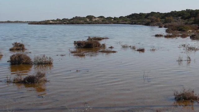 La brisa mueve el agua de las lagunas salinas del humedal de la Reserva natural de  Punta Entinas