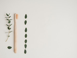 bamboo wood toothbrush with leaf and plant on the white background. Concept eco friendly, zero waste, copyspace.