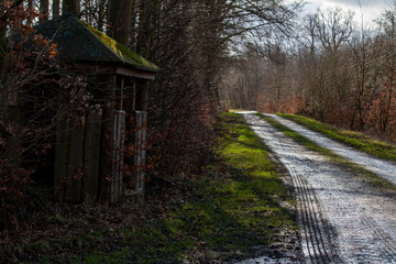 Naklejka premium A day with sunlight