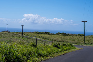 Fototapeta na wymiar Small road and electric poles in north Big Island Hawaii