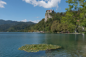 Fototapeta na wymiar Burg Bled