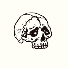 Human skull front view, hand drawn doodle, drawing, sketch illustration, design element