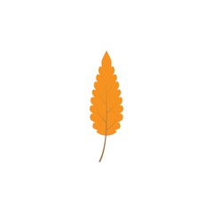 Autumn logo vector