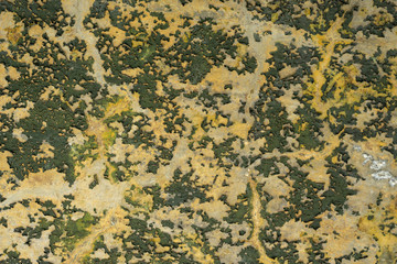 Green and yellow paint on wall abstract grunge background