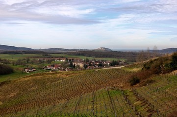 Fototapeta na wymiar Paysage et vignes dans le Jura.