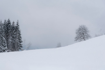 Winter am Dreiländereck bei Arnoldstein, Kärnten