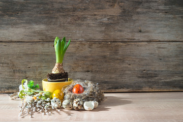 Easter and spring still life. Growth of hyacinth in yellow cup, bird nest with easter eggs and bouquet of willow twig on old wooden background. Space for text