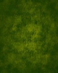 Fototapeta na wymiar High resolution green texturized grunge background. 