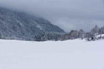 Obraz premium Winter in Kranjska Gora