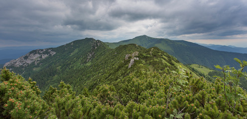 Mała Fatra - Góry Karpaty © BARONPHOTOGRAPHY.EU