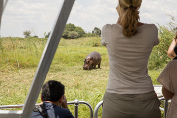 Menschen von hinten auf Safari