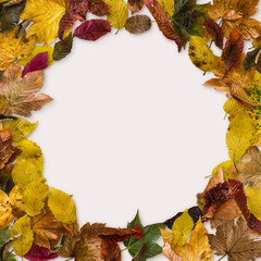 Naklejka na ściany i meble Autumn color leaves mix mockup on table with white background