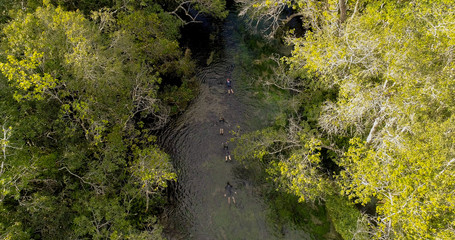 Divers in the river in Bonito state of Mato Grosso