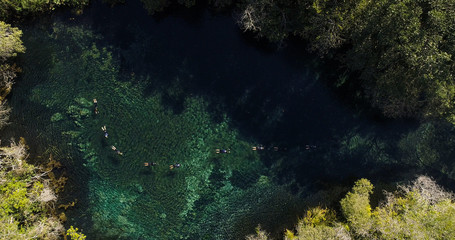 Divers in the river in Bonito state of Mato Grosso
