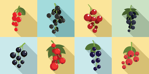 Currant berry icons set. Flat set of currant berry vector icons for web design