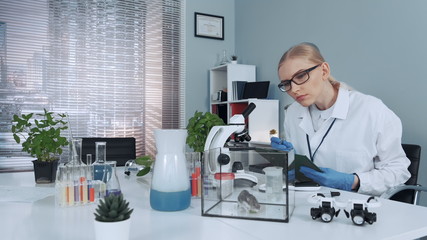 Chemistry lab: female scientist giving hamster organic material to eat and then writing her...