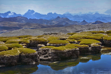 Naklejka na ściany i meble Andes High altitude Mountains. Peru. Huascaran National Park. Pond and moss