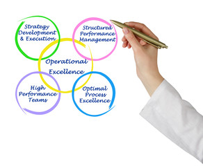 Four components of Operational Excellence