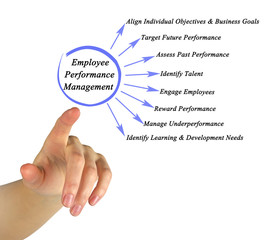 Components of Employee Performance Management.