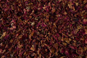 Textura de pétalos de rosa