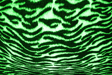 Green abstract background.Striped Zebra pattern.