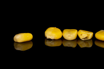 Group of five pieces of canned yellow corn isolated on black glass