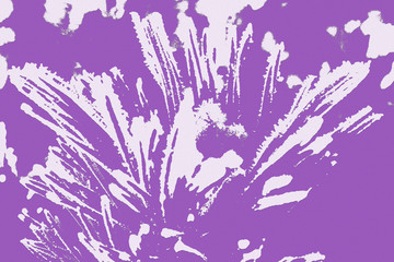 Purple abstract background.Flower pattern for Wallpaper.