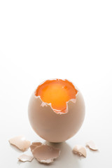 egg on the white background