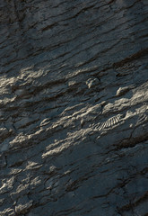 Fossils at the goldmine of Antamina Peru. Mountains.