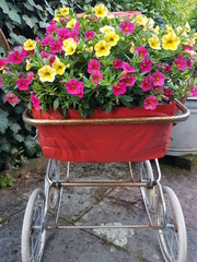 Fototapeta na wymiar Alter Puppenwagen als Blumenkübel mit blühenden Blumen