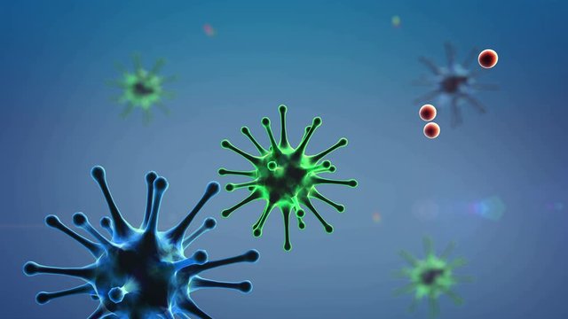 Coronavirus and Antibody, antibodies kills the viruses, macrophage and virus, Medical video background