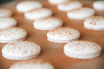 French dessert macaron. The photo of making macaron powdered with cocoa powder. Macaron in process, after baking, before filling. Macarons piped on a tray covered with a teflon sheet. Back view.