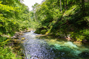 Landscape in Vintgar Gorge (Soteska Vintgar) near Bled town in Slovenia.