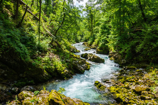 Landscape in Vintgar Gorge (Soteska Vintgar) near Bled town in Slovenia.