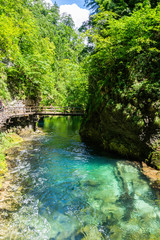 Fototapeta na wymiar Landscape in Vintgar Gorge (Soteska Vintgar) near Bled town in Slovenia