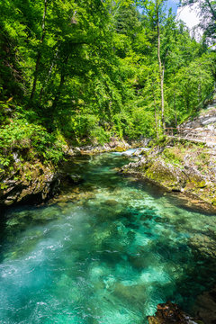 Landscape in Vintgar Gorge (Soteska Vintgar) near Bled town in Slovenia.