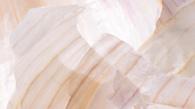 garlic husk textured background, stop motion