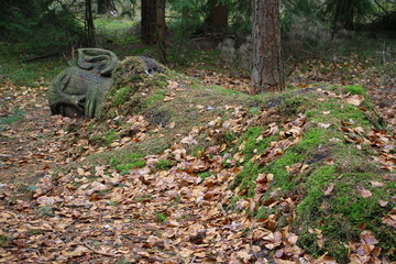 wald