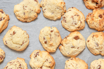 white cookies with pieces of chocolate on white backing paper