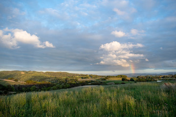 A rainbow on a cloudy day and green meadow at Chiloe Island