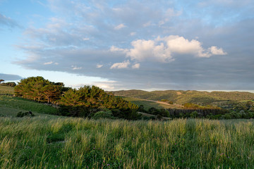 Green hills on a meadow at Chiloe Island, Chile