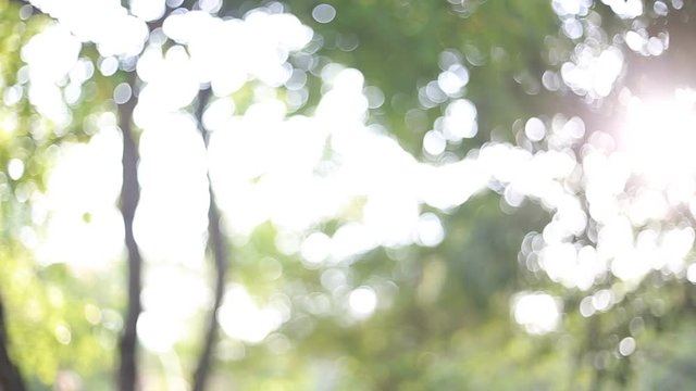 Sunlight in the nature and bautiful bokeh light