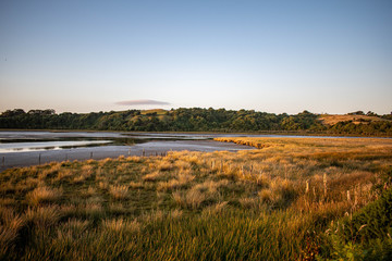 Wetland landscape on sunset at Chiloe Island, Chile